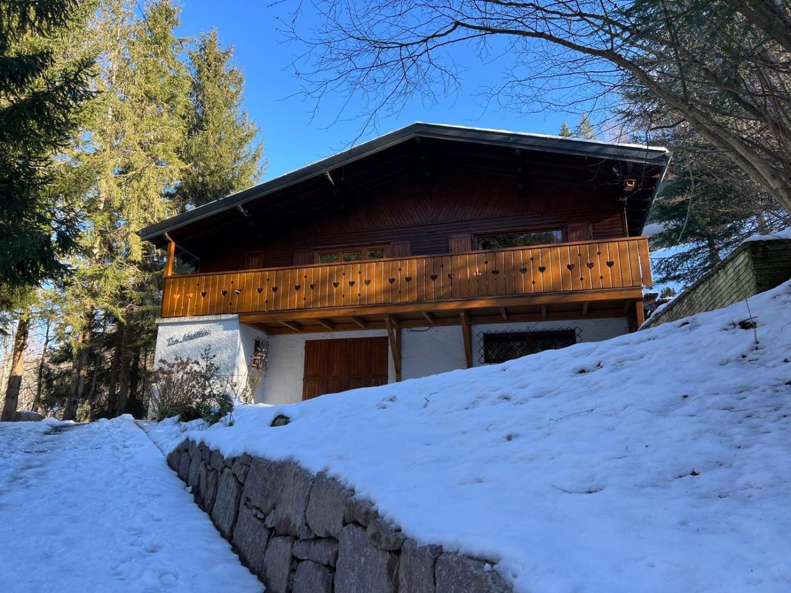 Chalet Les Airelles Mittlach Extérieur photo